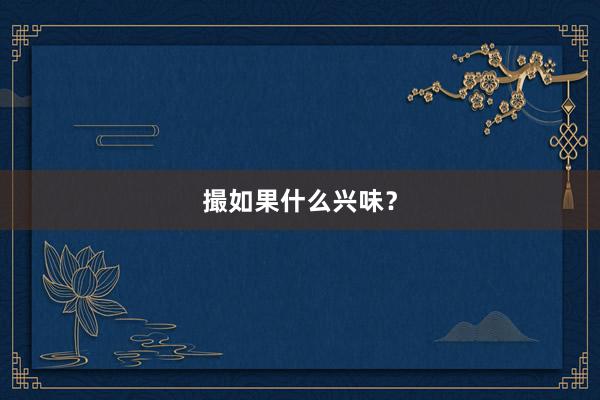 撮如果什么兴味？