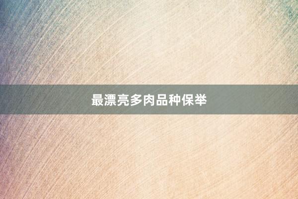最漂亮多肉品种保举